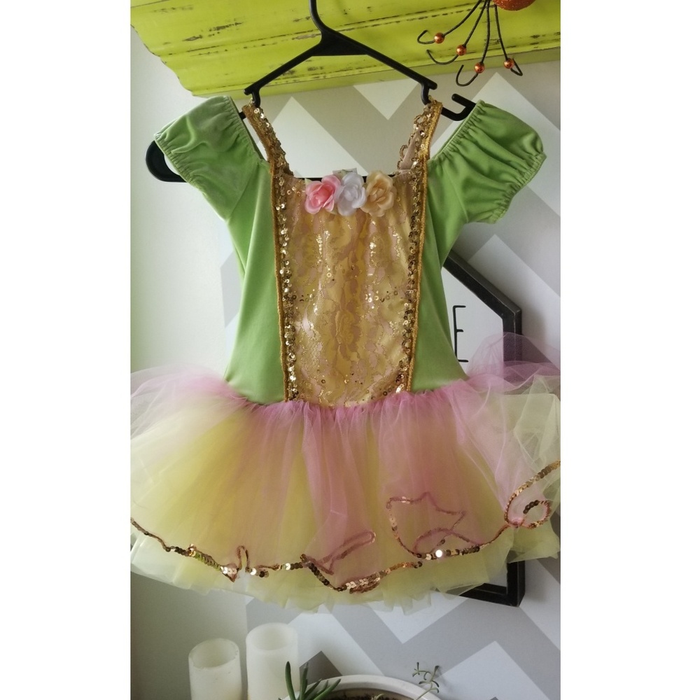 Butterfly Fairy Dance /Hallowern Costume